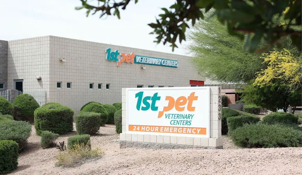 Veterinarian, Animal Hospital in Chandler, AZ