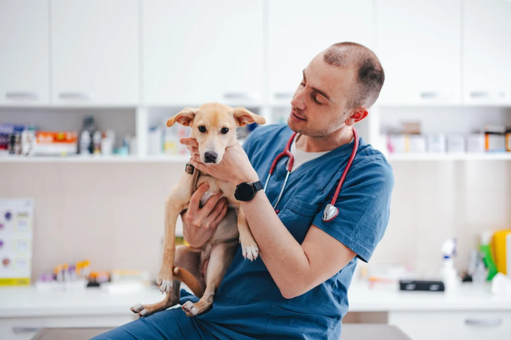 Male Vet Holding a Cute Yellow Puppy - Chandler, AZ - 1st Pet Veterinary Centers