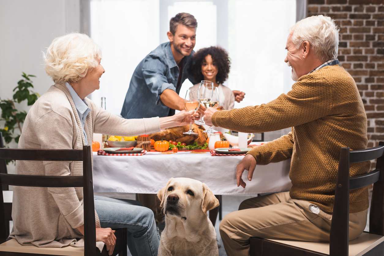 Selective focus of golden retriever near multicultural family clinking wine glasses during thanksgiving dinner stock photo